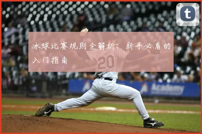 冰球比赛规则全解析：新手必看的入门指南